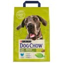 Purina Dog Chow Adult Large Breed Indyk 2,5kg