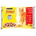 Friskies Mix mięsny w sosie saszetki 4x100g
