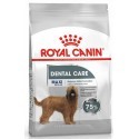 Royal Canin Maxi Dental Care karma sucha dla psów dorosłych, ras dużych, redukująca powstawanie kamienia nazębnego 3kg