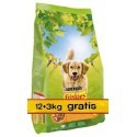 Friskies Adult Balance Kurczak i warzywa 15kg (12+3kg gratis)