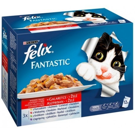 Felix Fantastic Mięso saszetki 12x100g