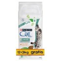 Purina Cat Chow Special Care Sterilized 15kg (12+3kg gratis)