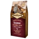 Carnilove Cat Reindeer Energy & Outdoor - renifer 6kg