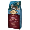 Carnilove Cat Salmon Sensitive & Long Hair - łosoś 6kg