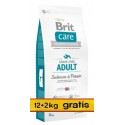 Brit Care Grain Free Adult Salmon & Potato 14kg (12+2kg gratis)