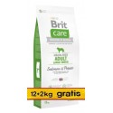 Brit Care Grain Free Adult Large Salmon & Potato 14kg (12+2kg gratis)