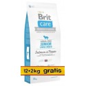 Brit Care Grain Free Junior Large Salmon & Potato 14kg (12+2kg gratis)