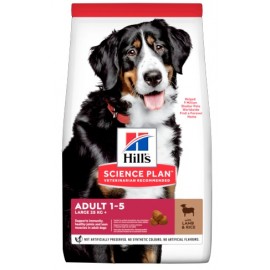 Hill's Science Plan Adult Large Jagnięcina & Ryż 14kg
